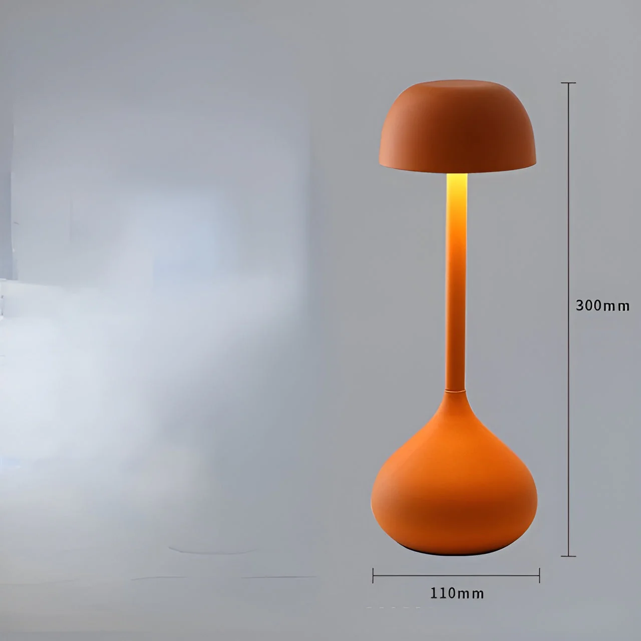 Image du produit 10